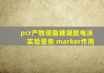 pcr产物琼脂糖凝胶电泳实验报告 marker作用